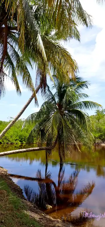 Hotels in North Side