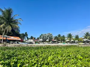Serrambi Beach