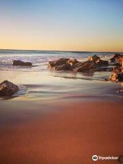 Port Willunga Beach Rides