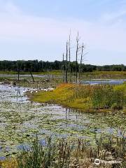 Sherburne National Wildlife Refuge