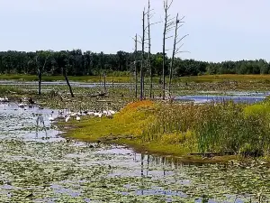 Sherburne National Wildlife Refuge