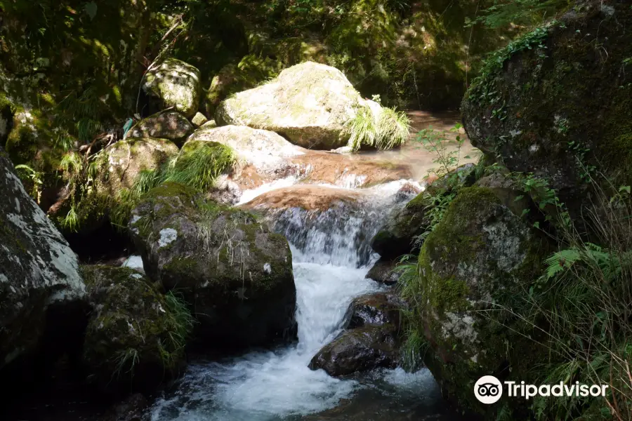 Shimizu Waterfalls