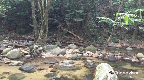 Sungai Tua Recreational Forest