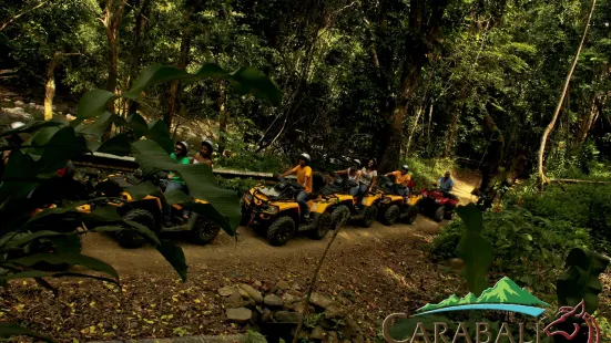 Carabalí Rainforest Park