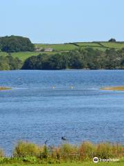 Carsington Water