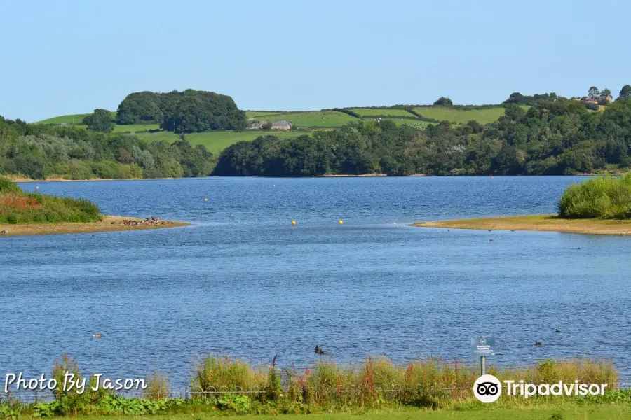 Carsington Water