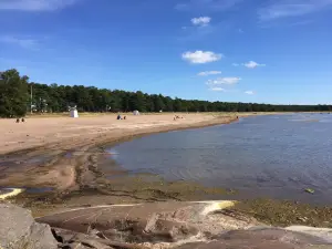 Bellevue Beach