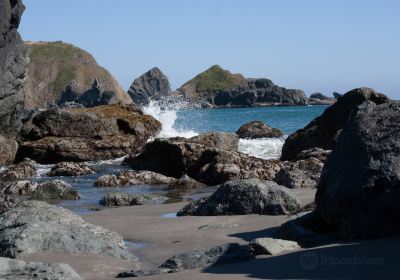 Lone Ranch Beach