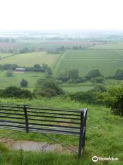 Ham Hill Country Park