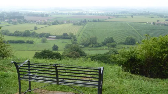 Ham Hill Country Park