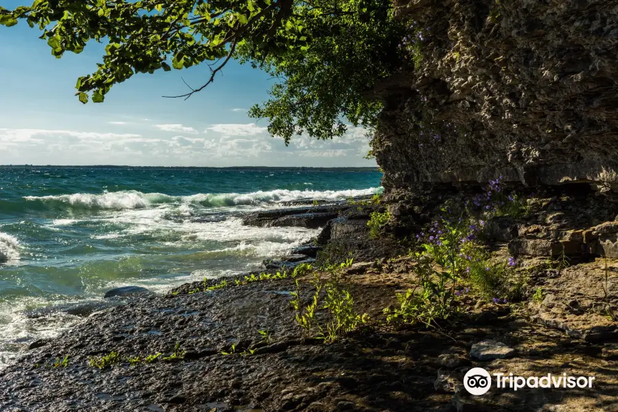 Point Petre Wildlife Conservation Area