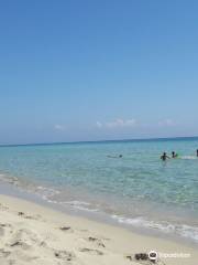 Spiaggia di Borraco