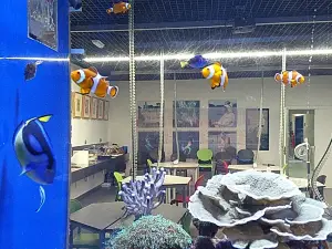 菲尼斯特拉埃水族館