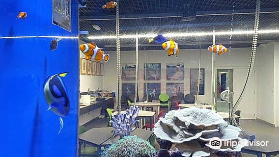 Aquarium Finisterrae