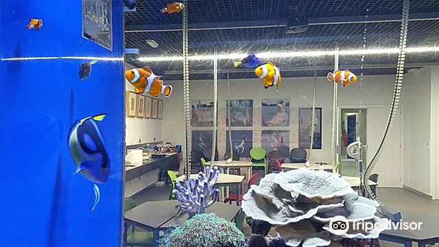 1_Aquarium Finisterrae