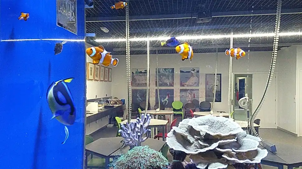 3_Aquarium Finisterrae