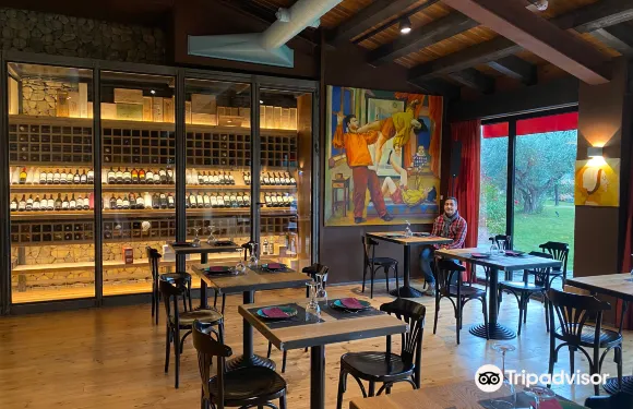 阿爾貝爾達德里瓜