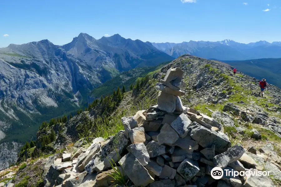 Pigeon Mountain Trail