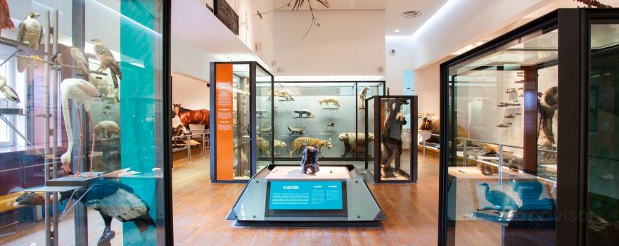 Nancy Museum-Aquarium