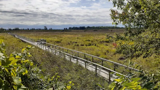 Cooper Marsh Conservation Area