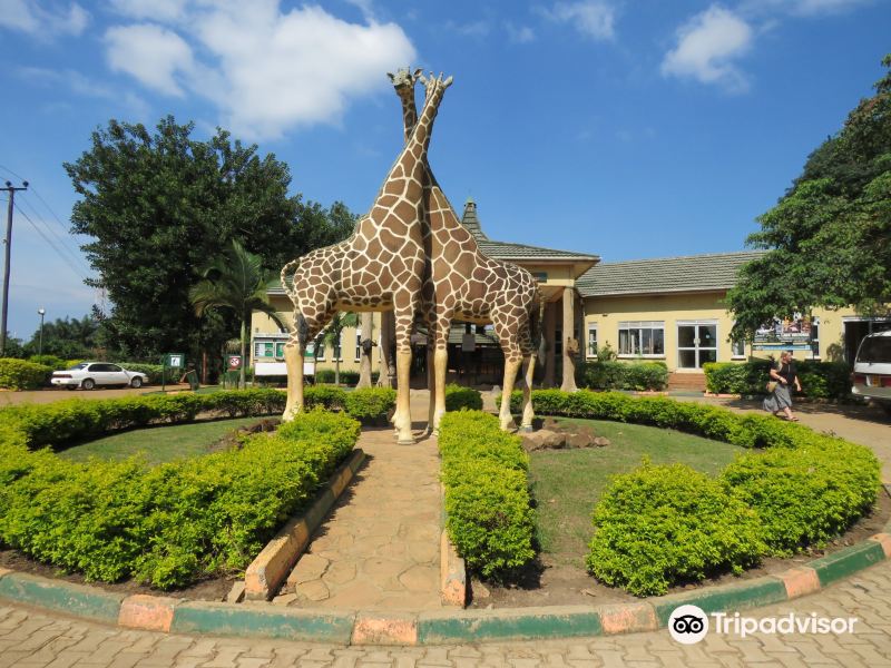 Tijuana to Entebbe Flights