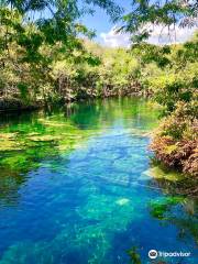 Cenote Jardín del Eden