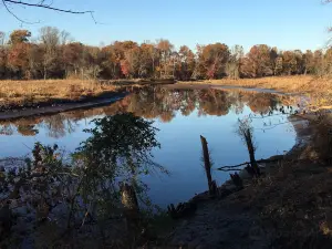 Rancocas State Park