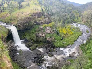 Paddys River Falls