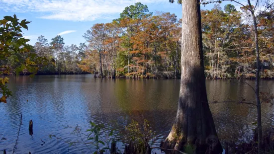 Sam Houston Jones State Park