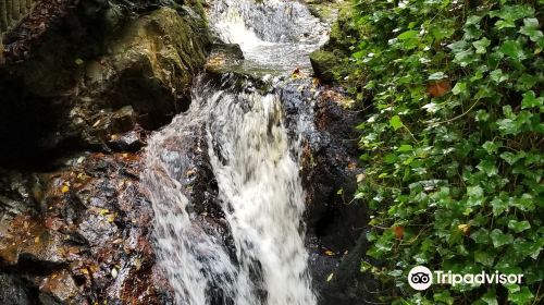 Glen Grant Whisky Distillery and Garden