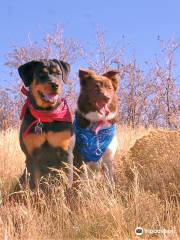 West Jordan Off-Leash Dog Park