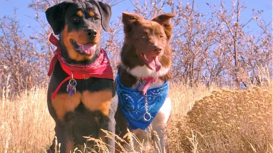 West Jordan Off-Leash Dog Park