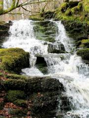 Birks of Aberfeldy