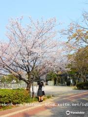 Komatsushima Station Park