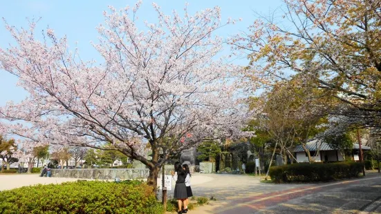 Komatsushima Station Park