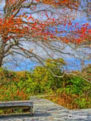 Mass Audubon's Allens Pond Wildlife Sanctuary