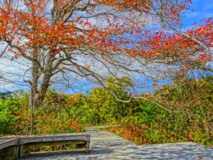 Mass Audubon's Allens Pond Wildlife Sanctuary