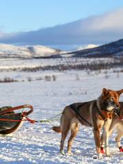 Husky Ranch Lapland