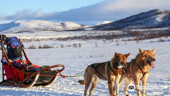 Husky Ranch Lapland