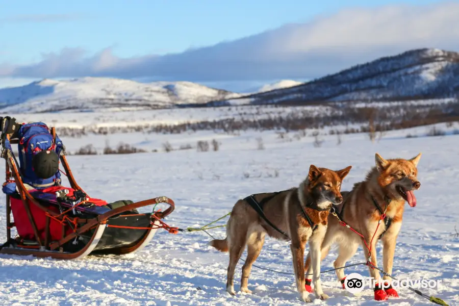 Husky Ranch Lapland