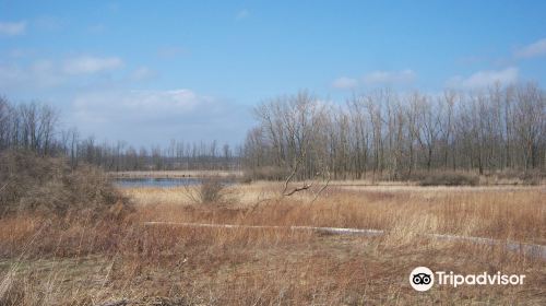 Iroquois National Wildlife Refuge