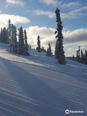 Ski Land