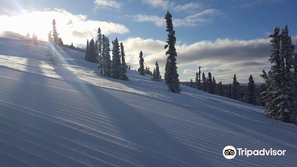 Ski Land Ski and Snowboard Area