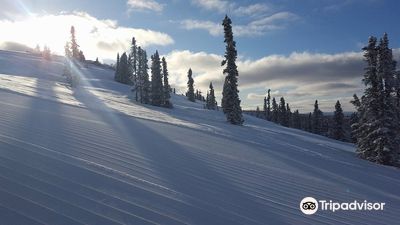 Ski Land Ski and Snowboard Area