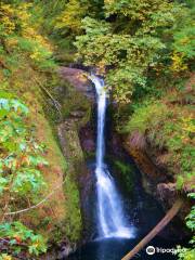 Butte Creek Falls