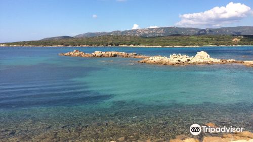 Reserve Naturelle des Bouches de Bonifacio