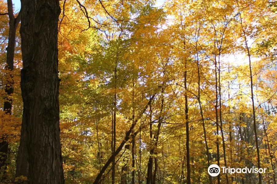 Lake Whittaker Conservation Area