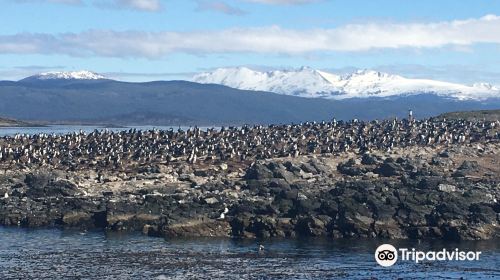 Isla de Los Pajaros