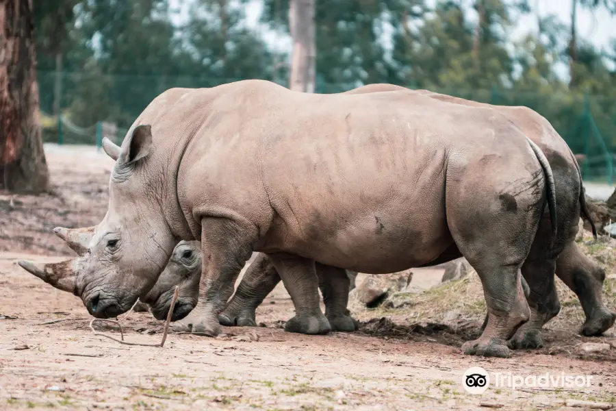 Zoo Santo Inácio