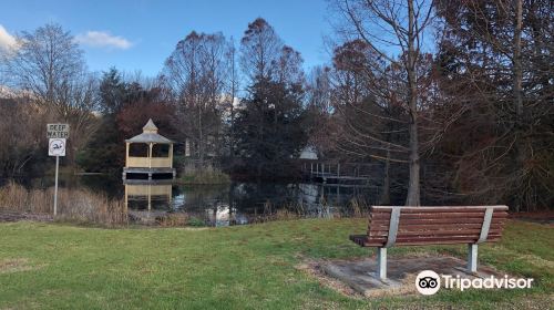 Penshurst Wetland Gardens